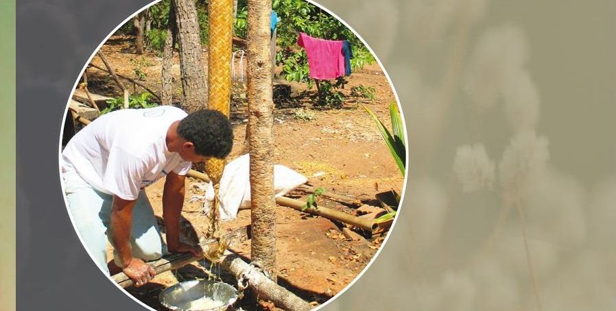 Couverture de l'ouvrage "Systèmes alimentaires et territoires au Brésil" © Presses universitaires de la Méditerranée – PULM